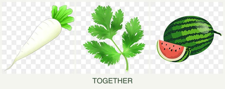 Can you plant radishes, parsley and melons together?