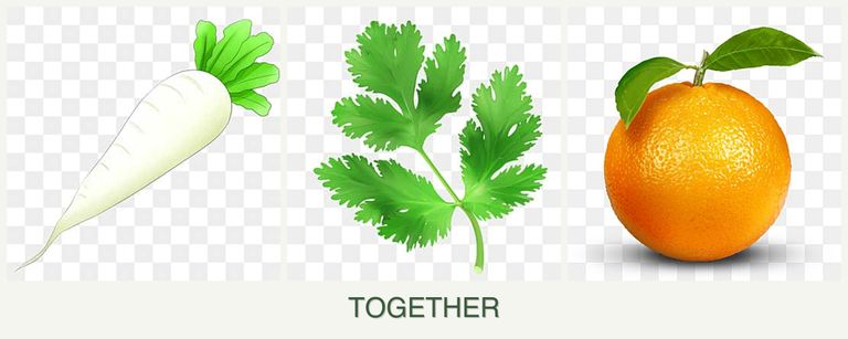 Can you plant radishes, parsley and oranges together?