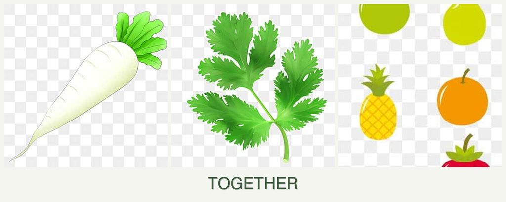 Can you plant radishes, parsley and pears together?