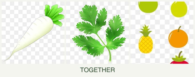 Can you plant radishes, parsley and pears together?