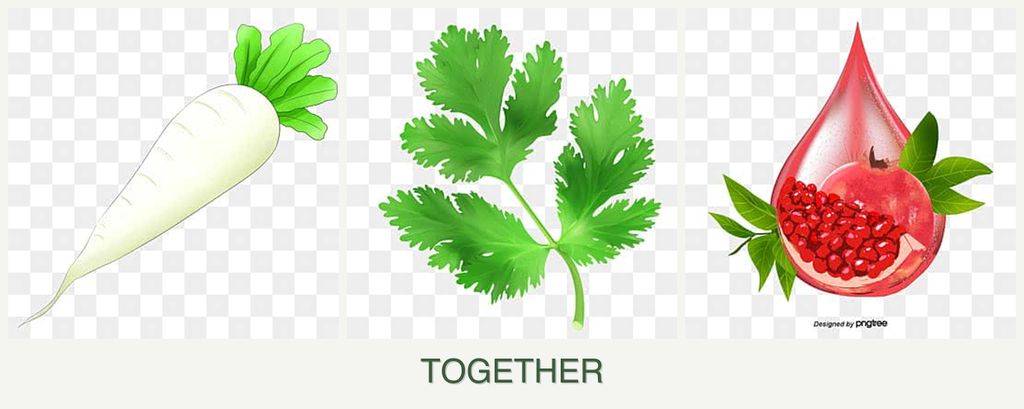 Can you plant radishes, parsley and pomegranates together?