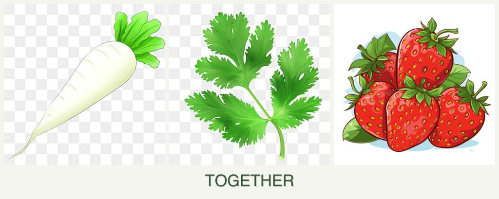 Can you plant radishes, parsley and strawberries together?
