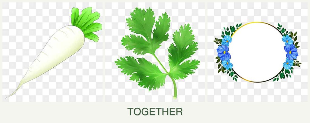 Can you plant radishes, parsley and zinnias together?