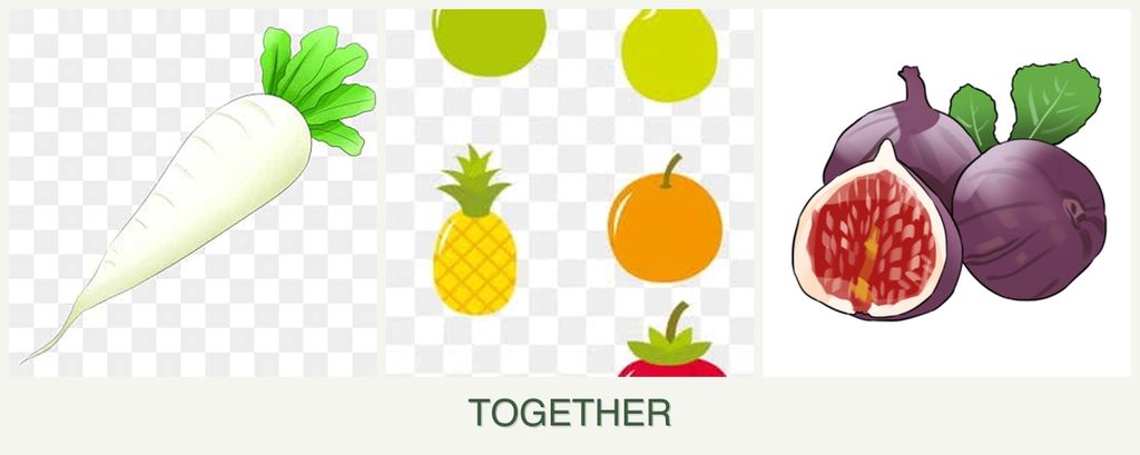 Can you plant radishes, pears and figs together?