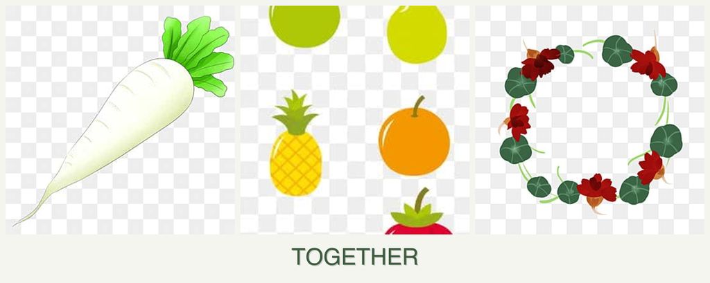 Can you plant radishes, pears and nasturtiums together?
