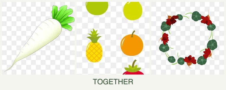 Can you plant radishes, pears and nasturtiums together?