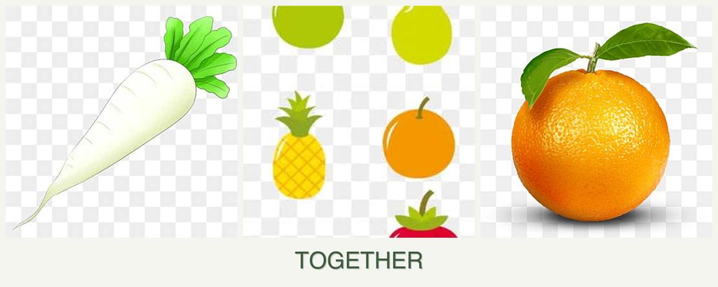 Can you plant radishes, pears and oranges together?
