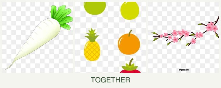Can you plant radishes, pears and peaches together?