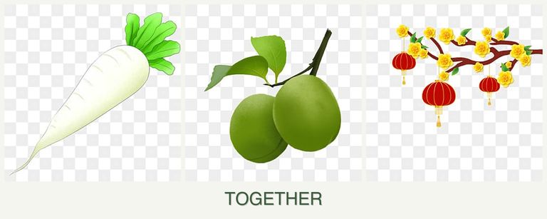 Can you plant radishes, plums and apricots together?