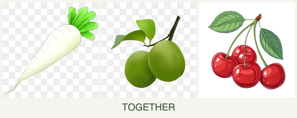 Can you plant radishes, plums and cherries together?