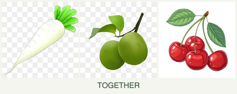 Can you plant radishes, plums and cherries together?
