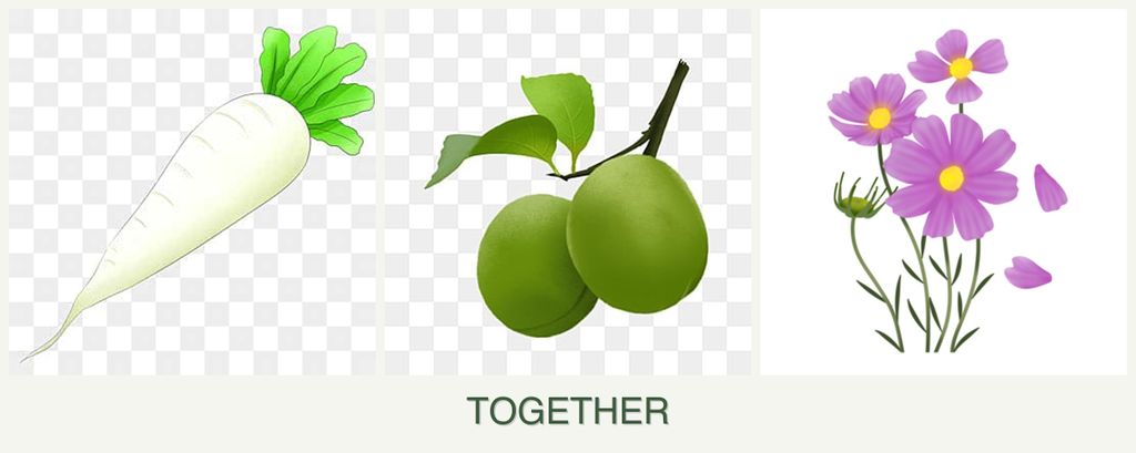 Can you plant radishes, plums and cosmos together?