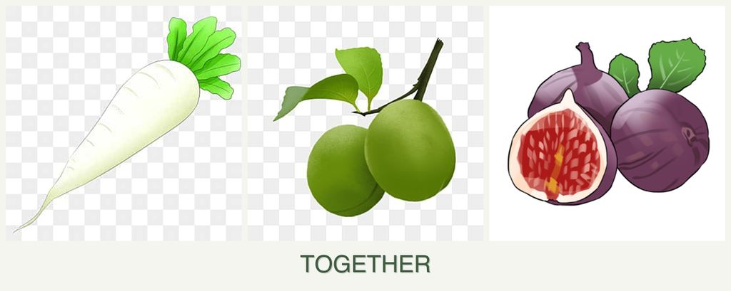 Can you plant radishes, plums and figs together?