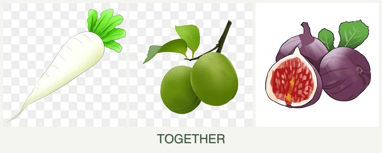 Can you plant radishes, plums and figs together?