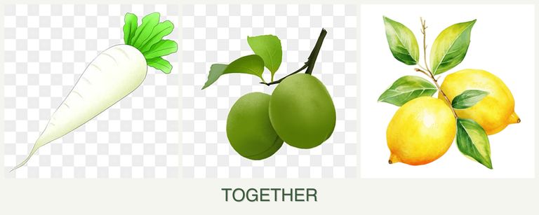 Can you plant radishes, plums and lemons together?