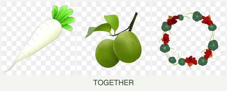 Can you plant radishes, plums and nasturtiums together?