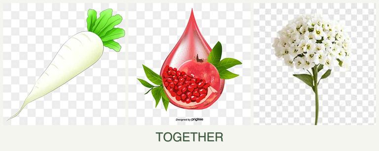 Can you plant radishes, pomegranates and alyssum together?