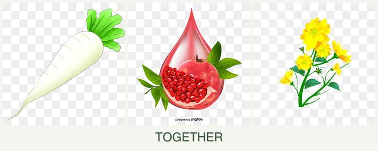 Can you plant radishes, pomegranates and calendula together?