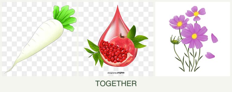 Can you plant radishes, pomegranates and cosmos together?