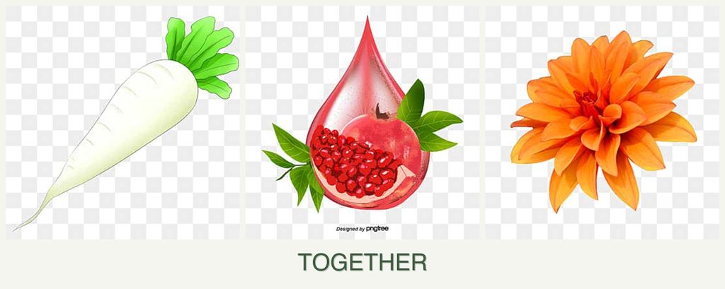Can you plant radishes, pomegranates and dahlias together?