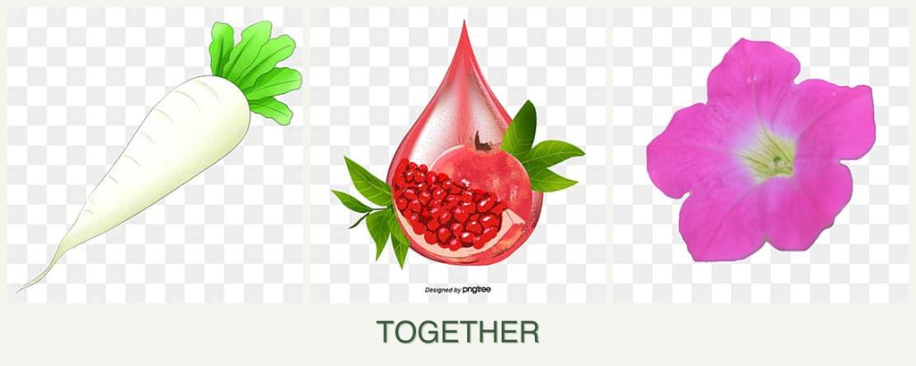 Can you plant radishes, pomegranates and petunias together?