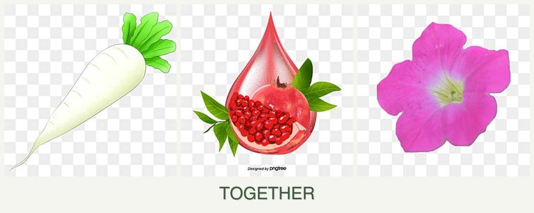 Can you plant radishes, pomegranates and petunias together?