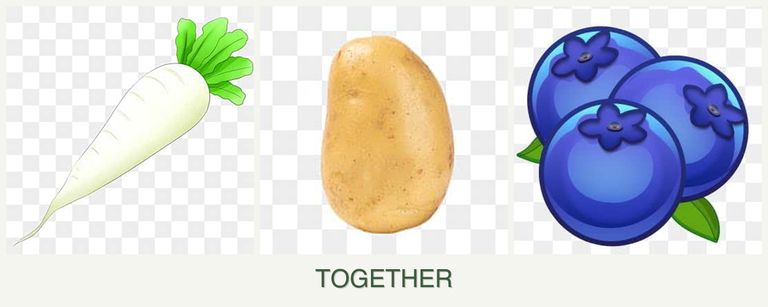 Can you plant radishes, potatoes and blueberries together?