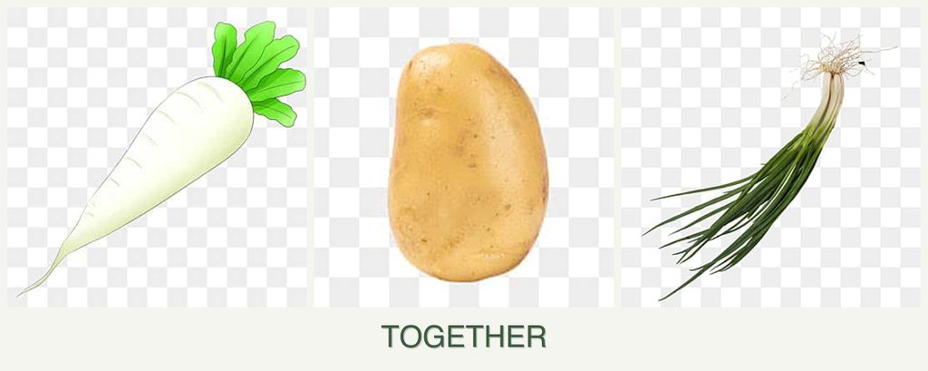 Can you plant radishes, potatoes and chives together?