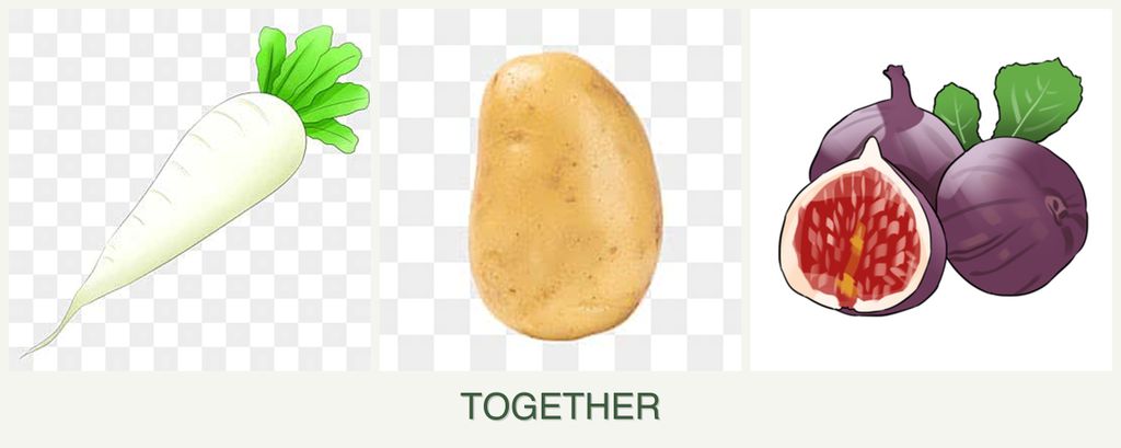 Can you plant radishes, potatoes and figs together?