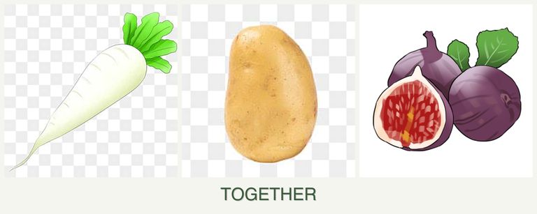 Can you plant radishes, potatoes and figs together?