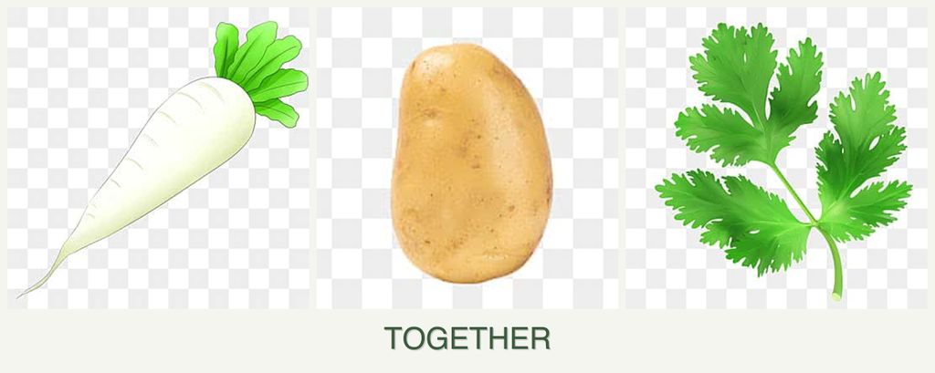 Can you plant radishes, potatoes and parsley together?