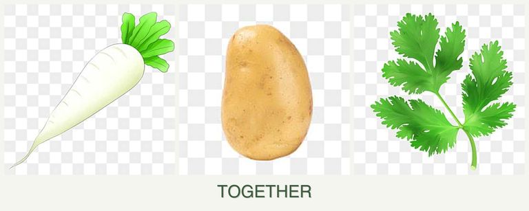 Can you plant radishes, potatoes and parsley together?