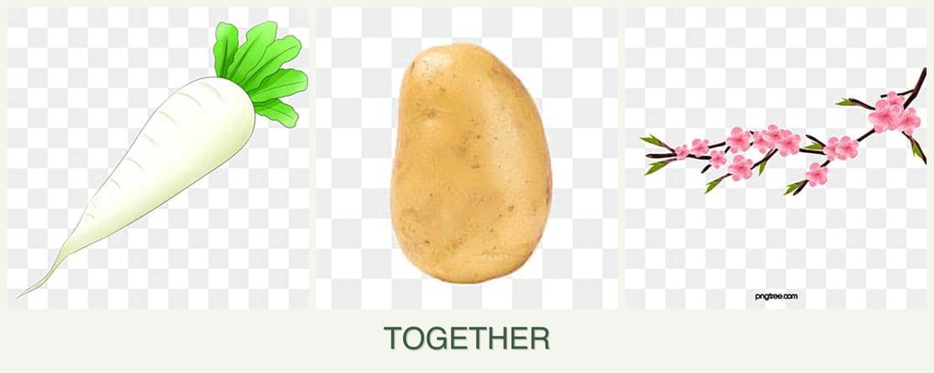 Can you plant radishes, potatoes and peaches together?