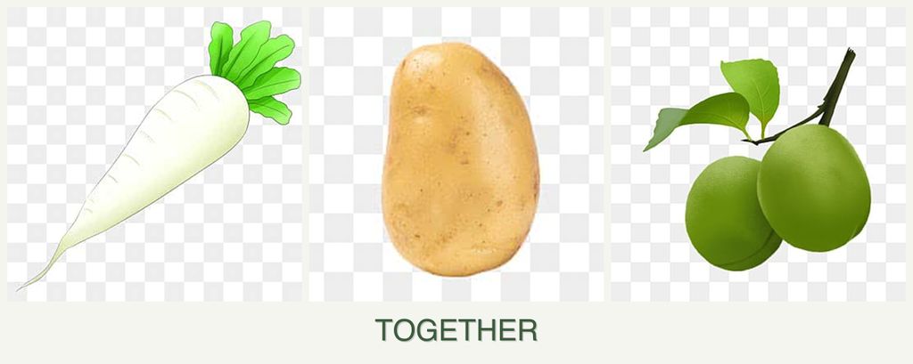 Can you plant radishes, potatoes and plums together?