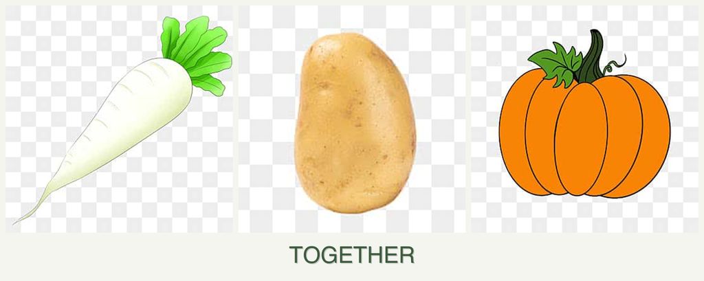 Can you plant radishes, potatoes and pumpkin together?