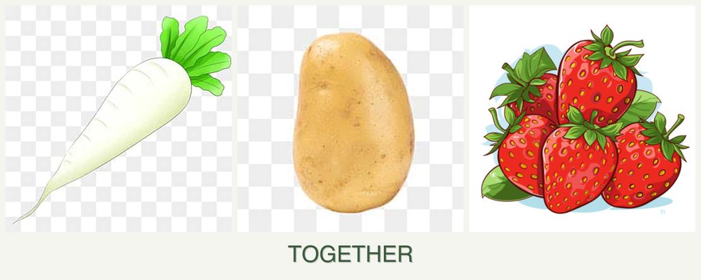 Can you plant radishes, potatoes and strawberries together?