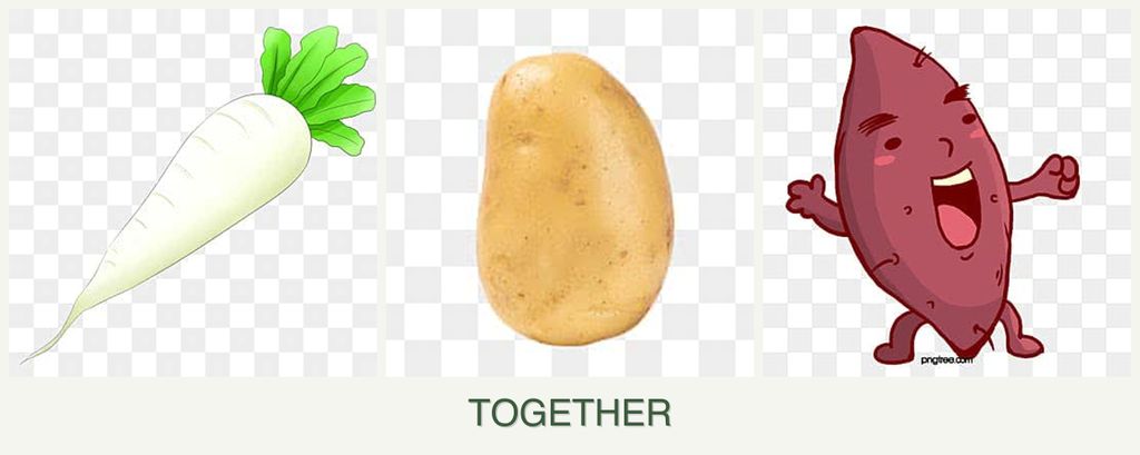Can you plant radishes, potatoes and sweet potatoes together?