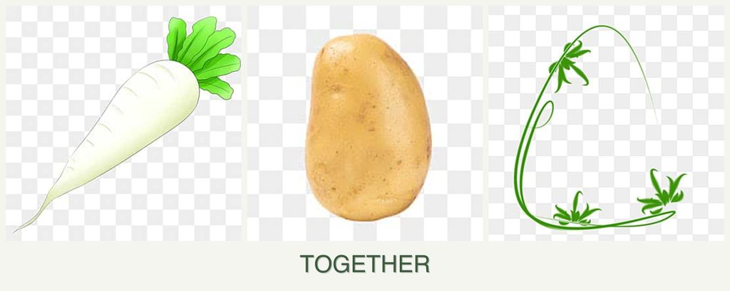 Can you plant radishes, potatoes and tarragon together?