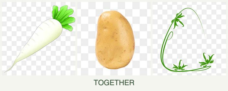 Can you plant radishes, potatoes and tarragon together?