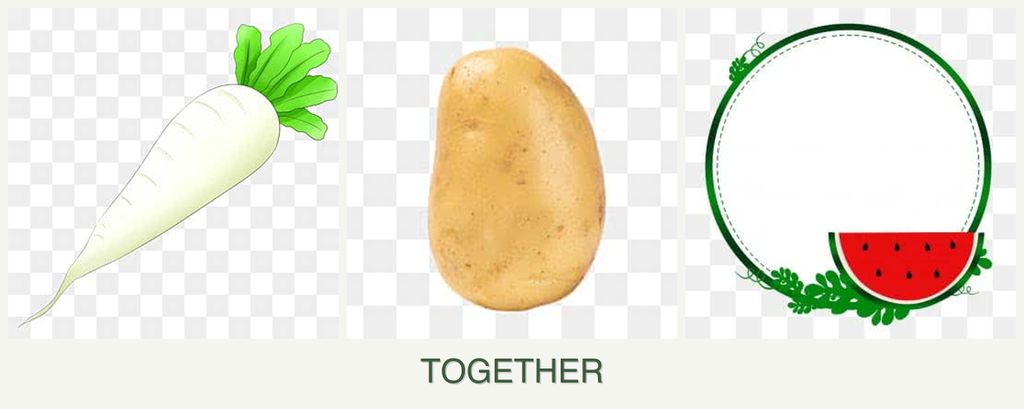Can you plant radishes, potatoes and watermelons together?