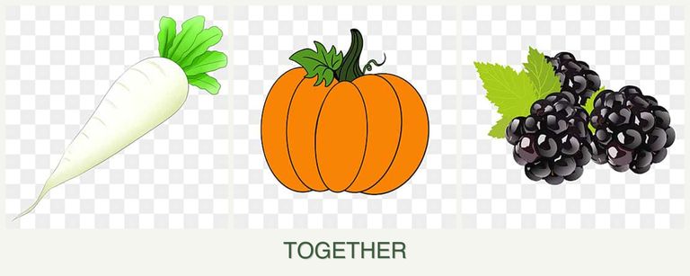 Can you plant radishes, pumpkin and blackberries together?