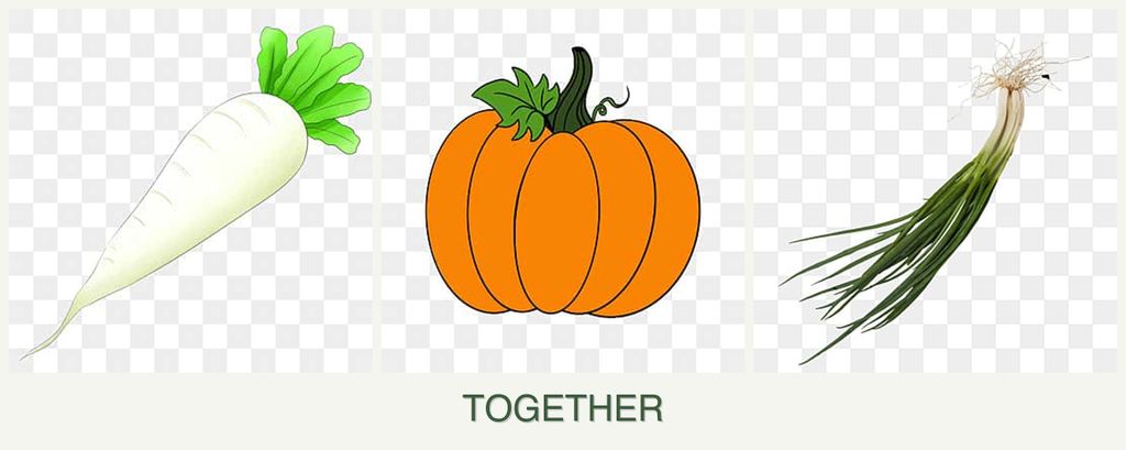 Can you plant radishes, pumpkin and chives together?