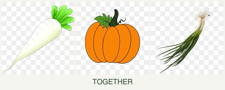 Can you plant radishes, pumpkin and chives together?
