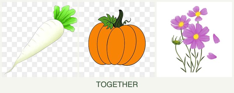 Can you plant radishes, pumpkin and cosmos together?