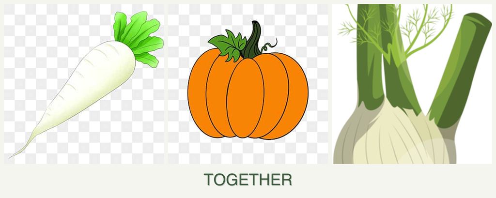 Can you plant radishes, pumpkin and fennel together?