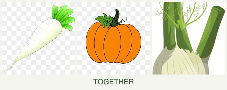 Can you plant radishes, pumpkin and fennel together?