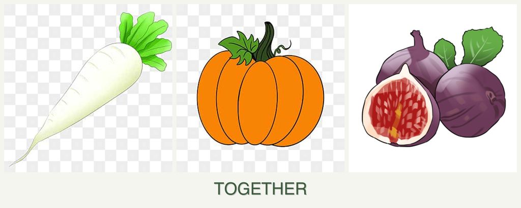 Can you plant radishes, pumpkin and figs together?