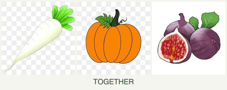 Can you plant radishes, pumpkin and figs together?