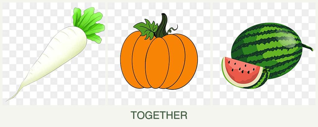 Can you plant radishes, pumpkin and melons together?