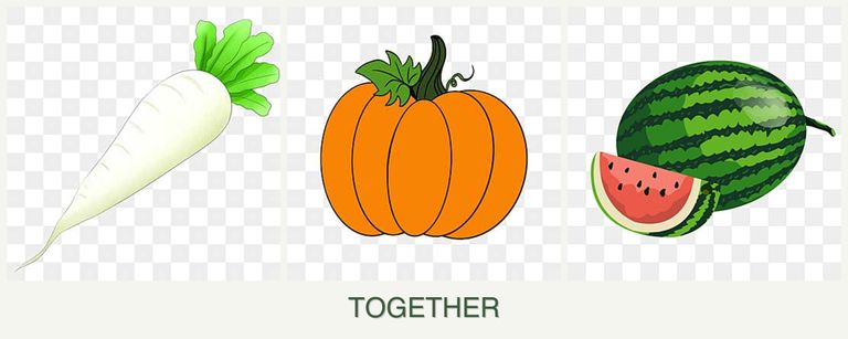 Can you plant radishes, pumpkin and melons together?
